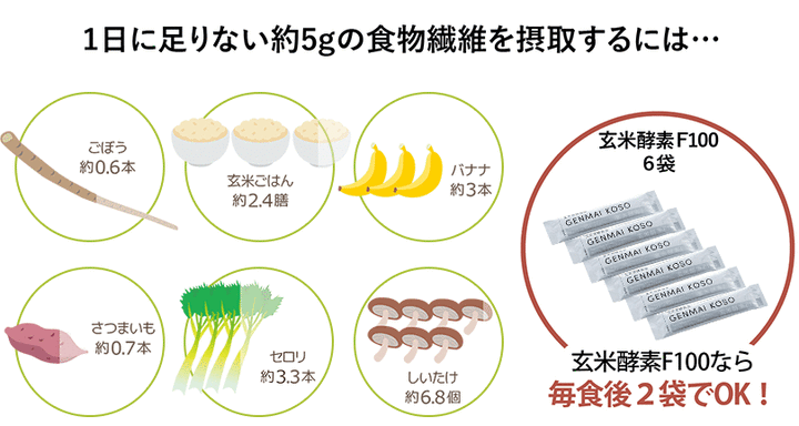 ☆玄米酵素F100（顆粒・90袋入）