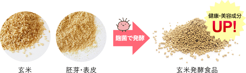☆玄米酵素F100（顆粒・90袋入）