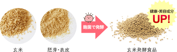 ☆玄米酵素F100（顆粒・90袋入）