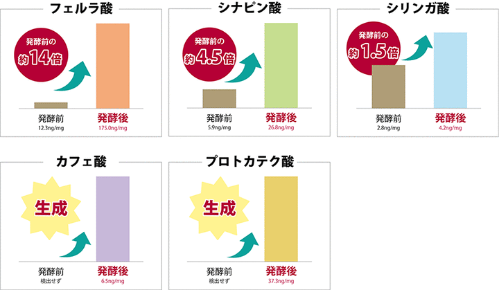 ☆玄米酵素F100（顆粒・90袋入）