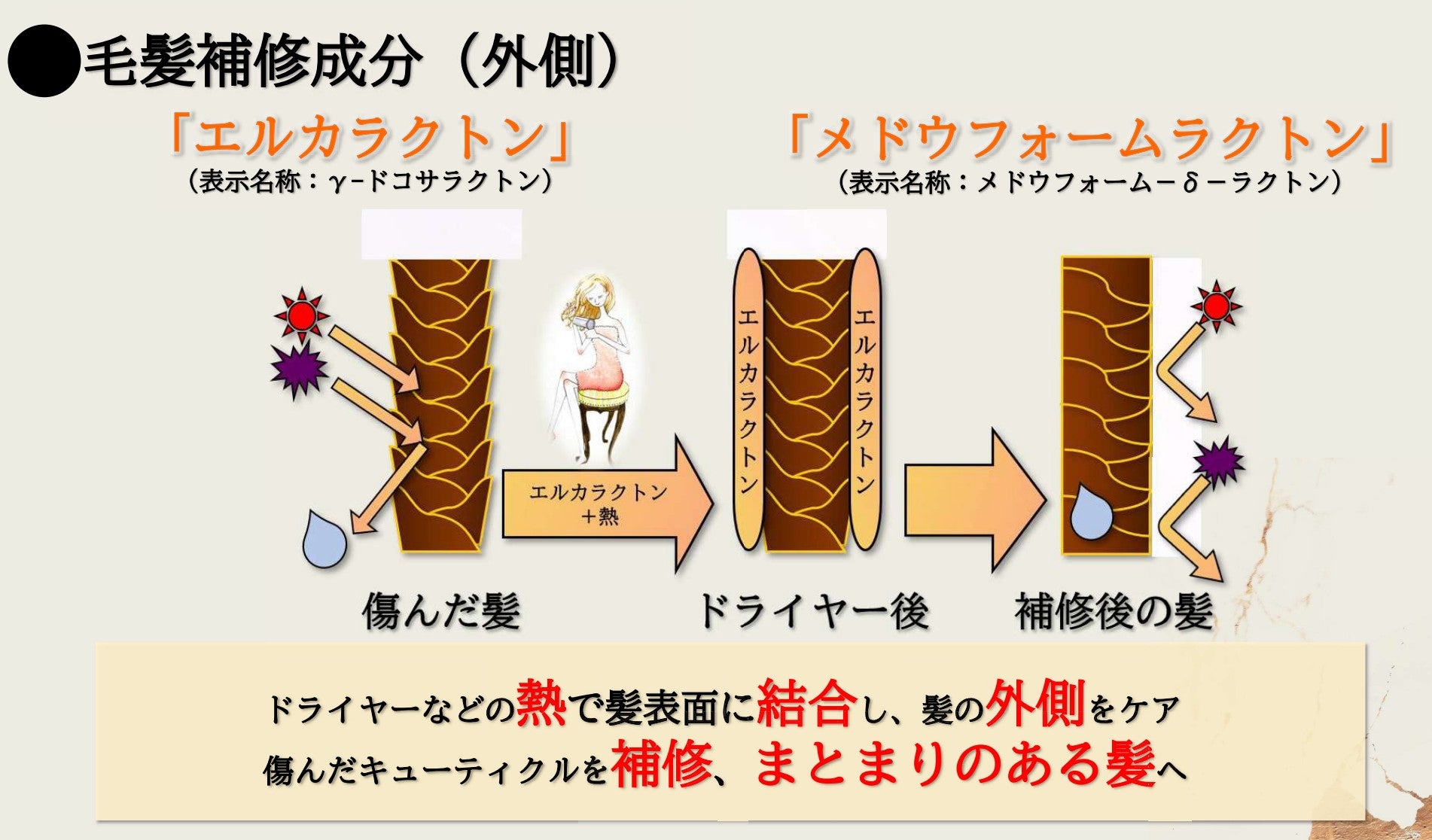 ABITOKYO　オリジナル en美　シャンプー　3点セット ☆<3点セット 20%FF> ABITOKYOオリジナル en美 – ABITOKYO