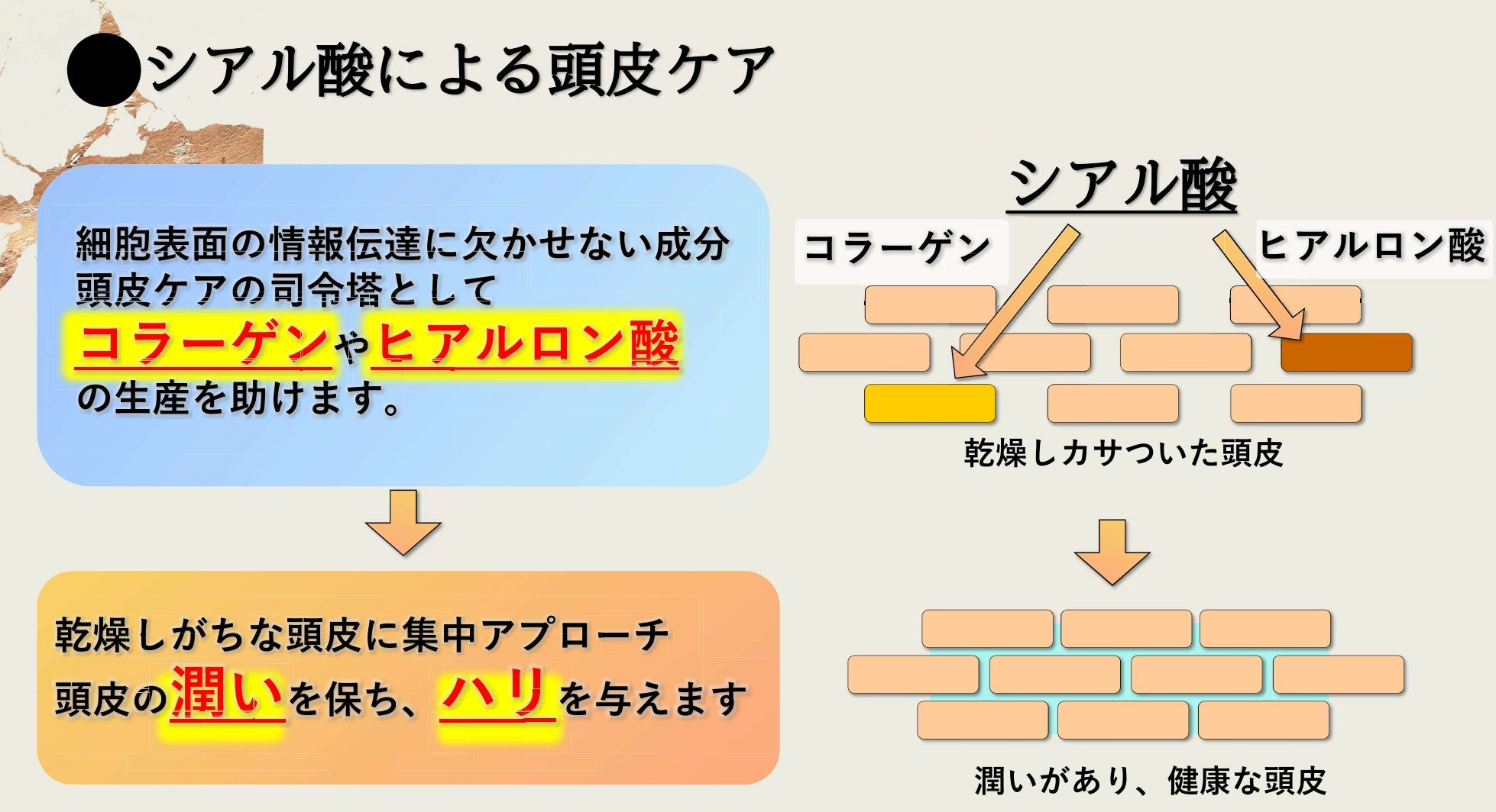 ABITOKYO　オリジナル en美　シャンプー　3点セット ☆<3点セット 20%FF> ABITOKYOオリジナル en美 – ABITOKYO